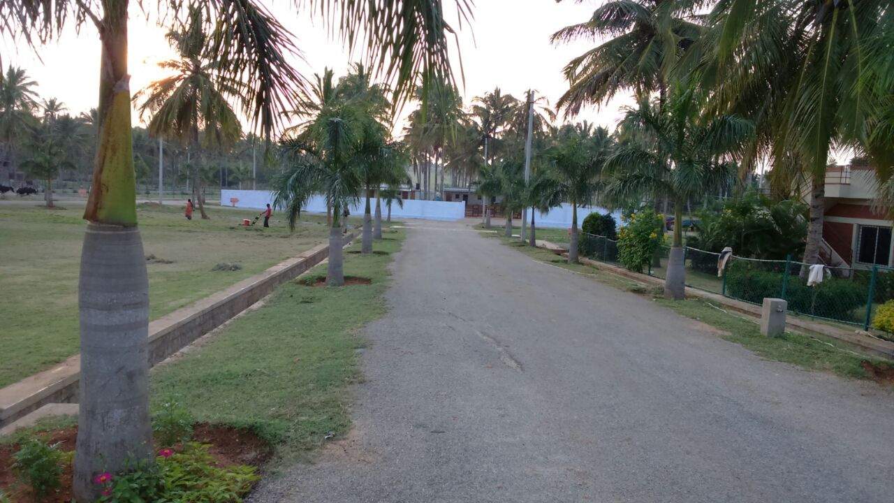 Images for Main Other of Bhoomika Royal Heritage Garden