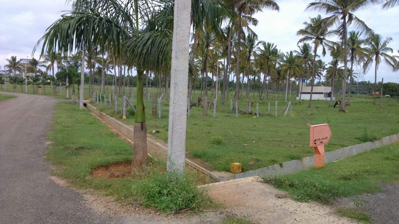 Images for Main Other of Bhoomika Royal Heritage Garden