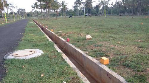 Images for Main Other of Bhoomika Royal Heritage Garden