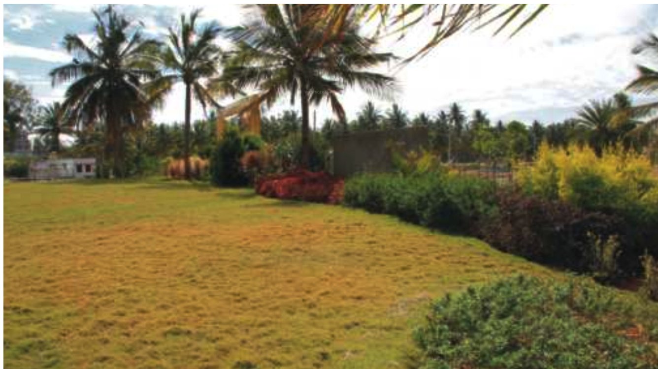 Images for Main Other of Bhoomika Royal Heritage Garden