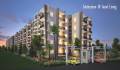Landstar Homes Pinnacle