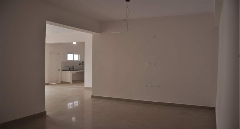  signature Images for Main Other of Green Signature