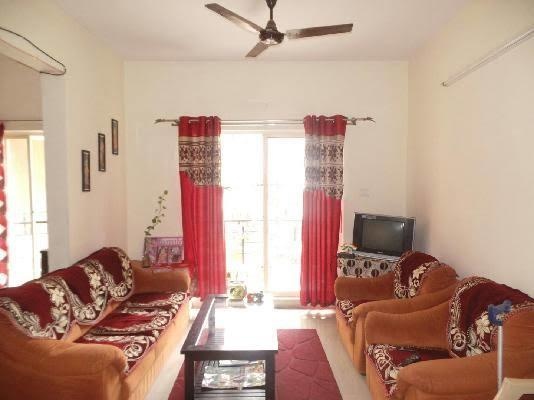 Images for mainOther