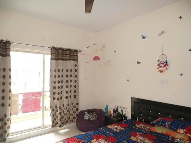 Images for mainOther