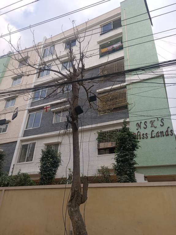  bliss lands Elevation