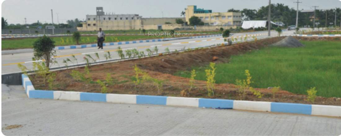 Images for Main Other of SRA Nile Nahar