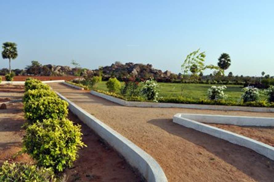 Images for Amenities of Nature Paradise