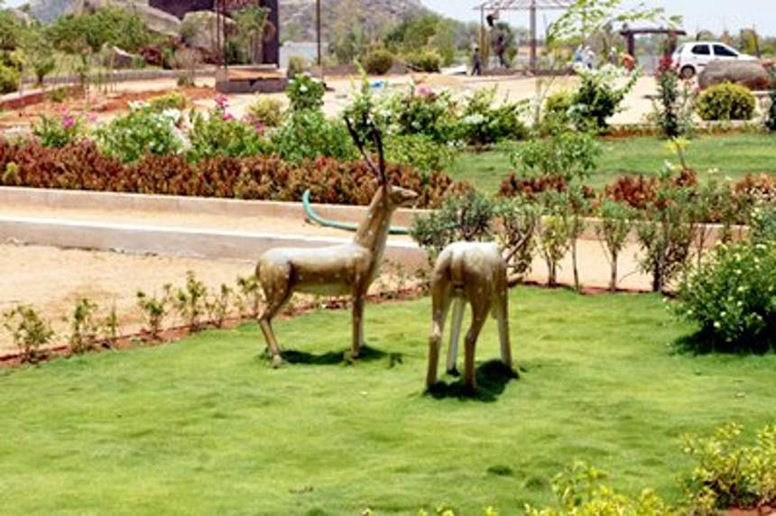 Images for Amenities of Nature Paradise