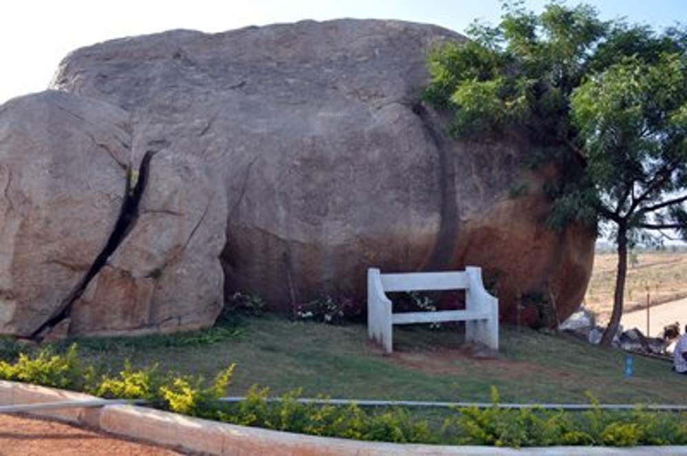 Images for Amenities of Nature Paradise