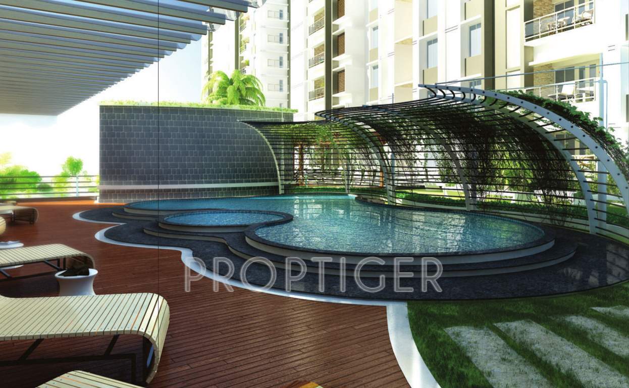  tuxedo elite Images for Amenities of Greata Masken Heights