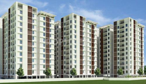  shine Images for Elevation of Radiance Shine