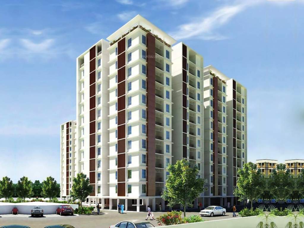  shine Images for Elevation of Radiance Shine