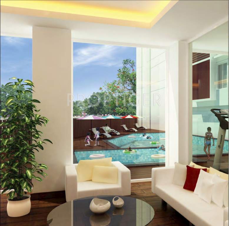  shine Images for Main Other of Radiance Shine