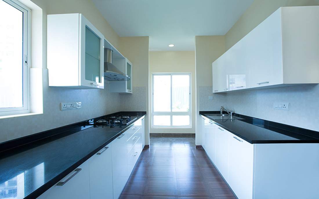  shine Images for Main Other of Radiance Shine