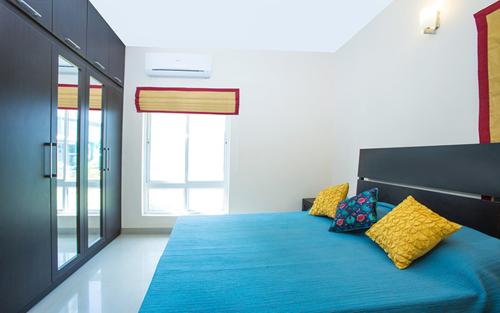  shine Images for Main Other of Radiance Shine