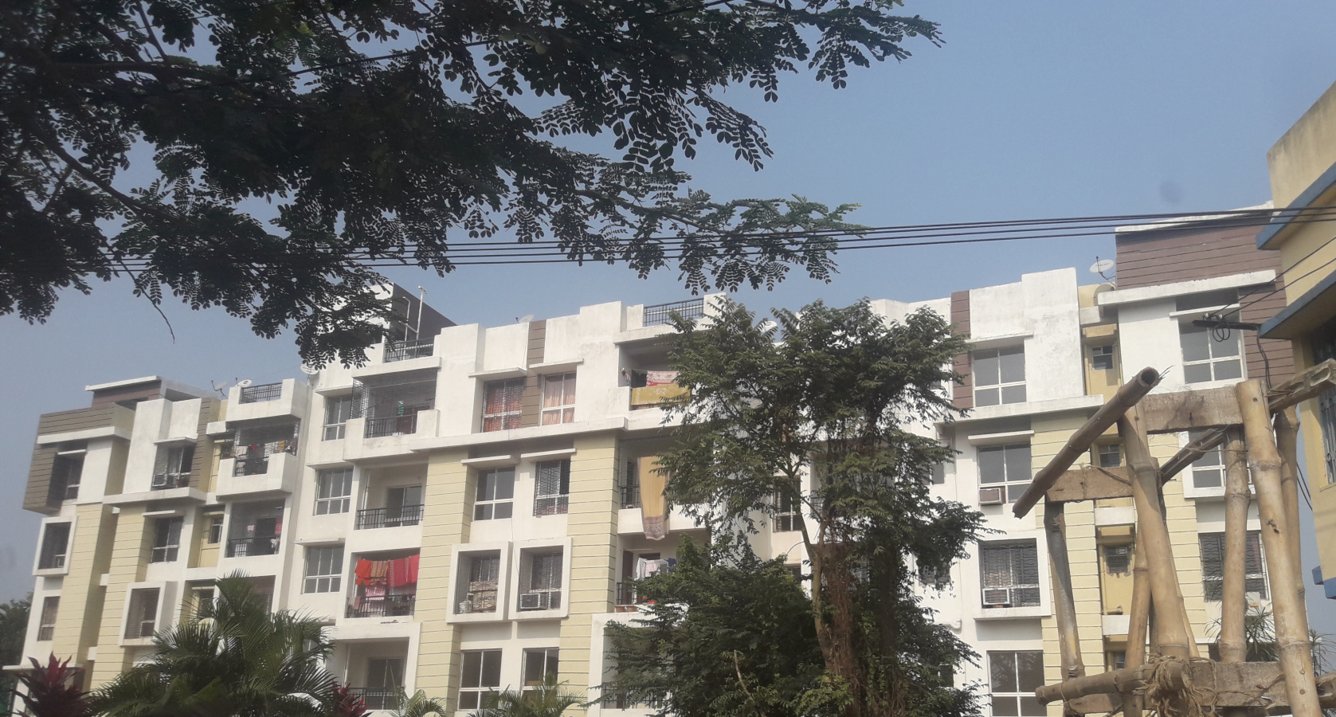 dream exotica Images for Project