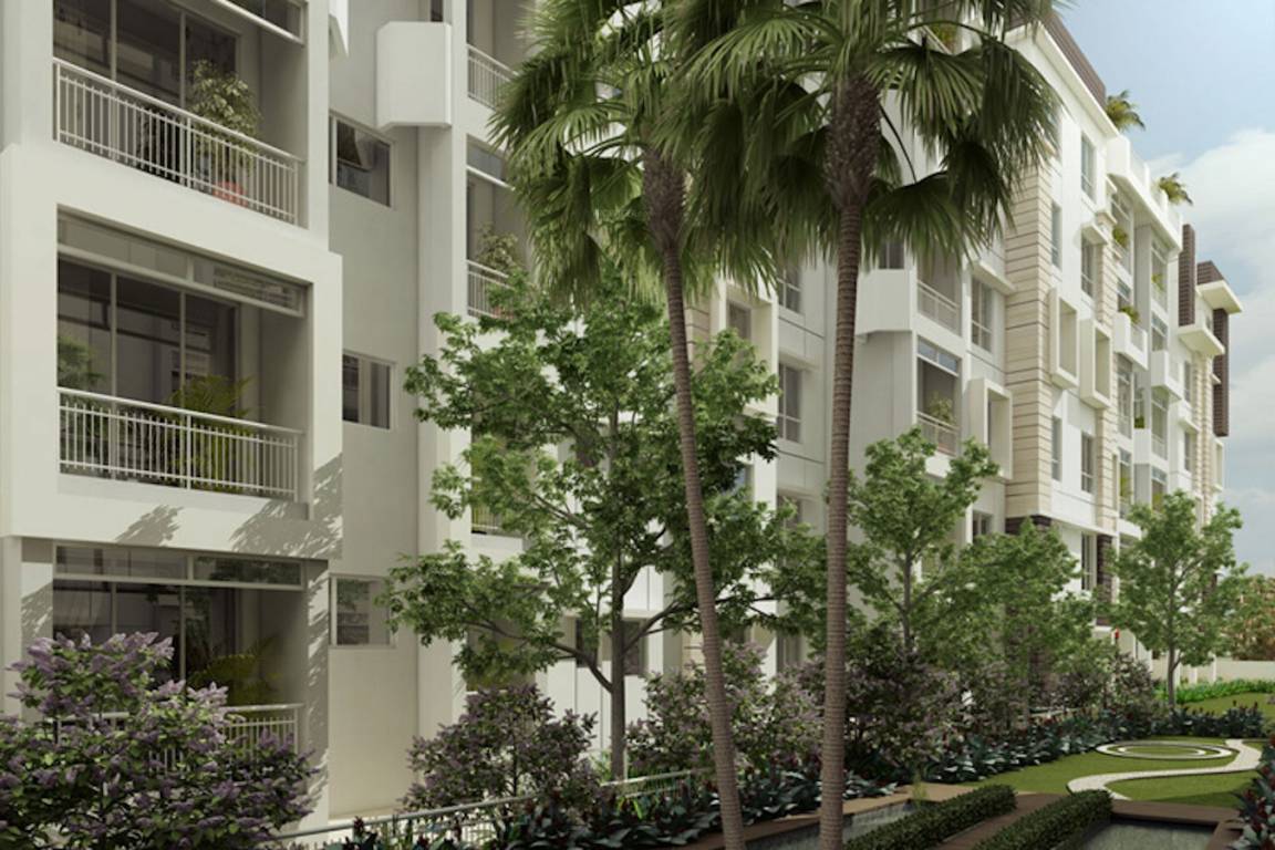 dream exotica Images for Project