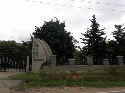 Images for Project Images for Project