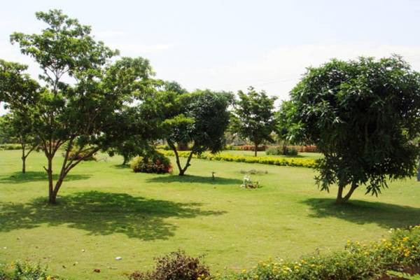 Images for Amenities of Focus PSR Icon Valley