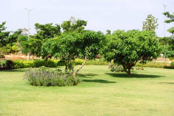 Images for Amenities of Focus PSR Icon Valley