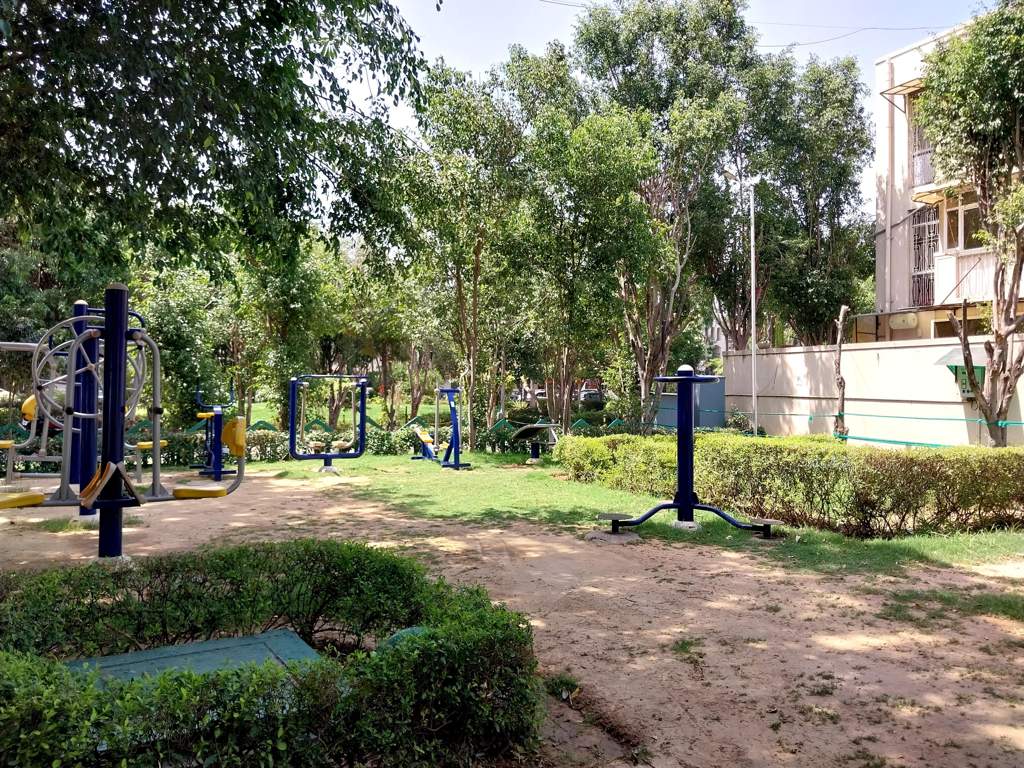  exclusive floors Gymnasium