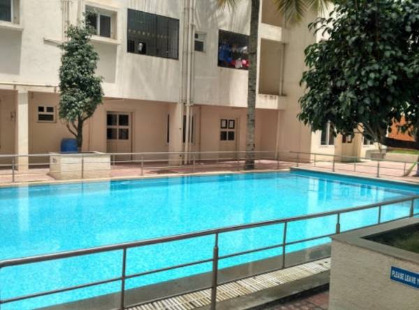  palmera Swimming Pool