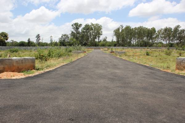 Images for Main Other of RK The California Holiday Village