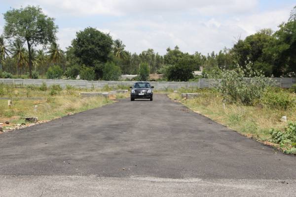 Images for Main Other of RK The California Holiday Village