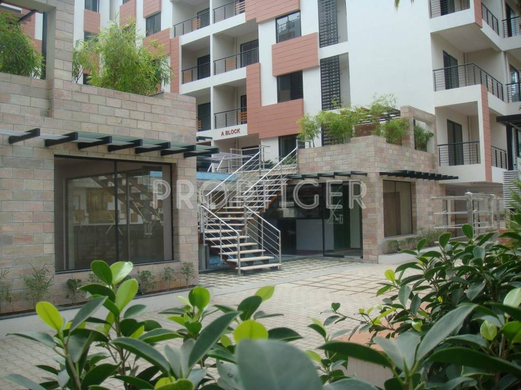 Images for Elevation of MV Projects MV Royal Homes