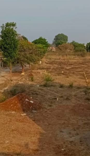 Elevation burgundy-orchards Elevation