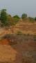 Millennia Ventures Burgundy Orchards