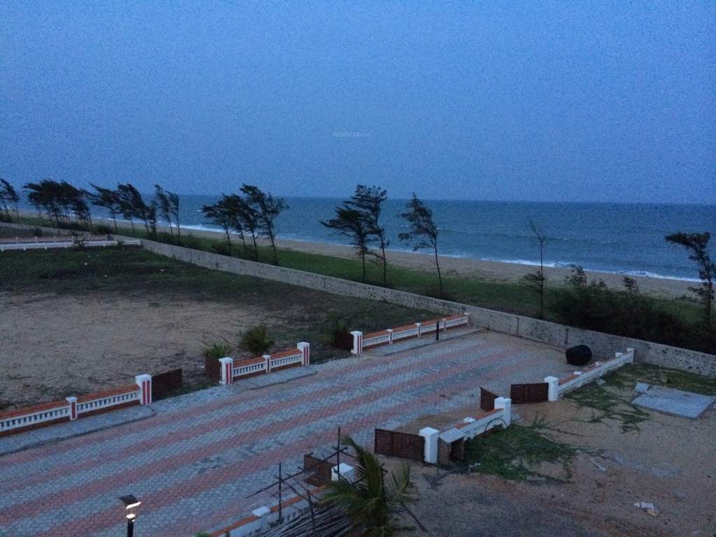 Images for Amenities of Pearl Pearl Beach