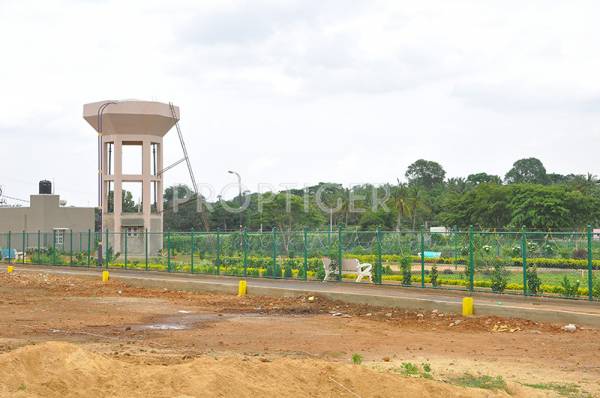 Main Other paradise Main Other