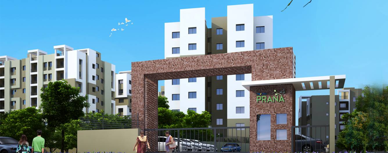  prana Images for Project