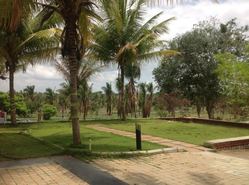 Images for Amenities of MV Projects Paradise