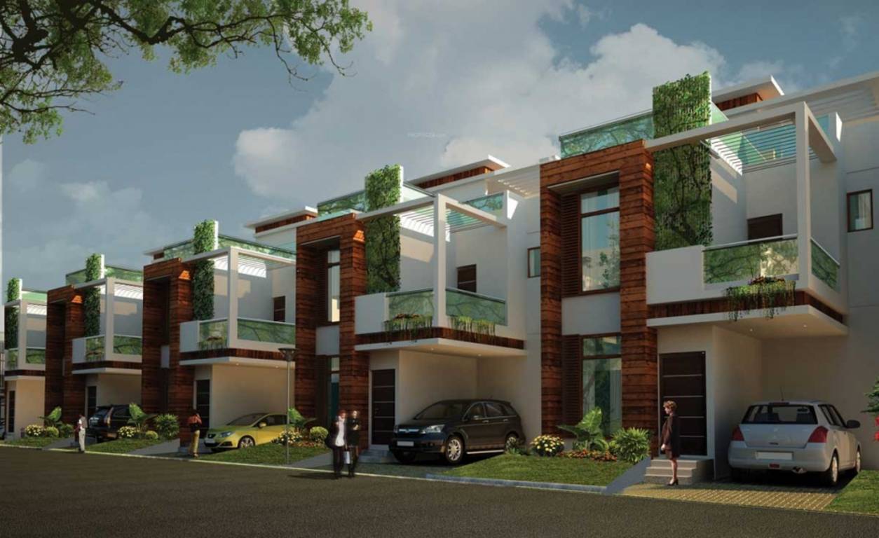 Images for Elevation of ZED Ria