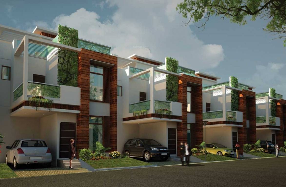 Images for Elevation of ZED Ria