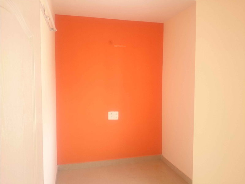 Images for Main Other of Skyline Promoters Zephyr