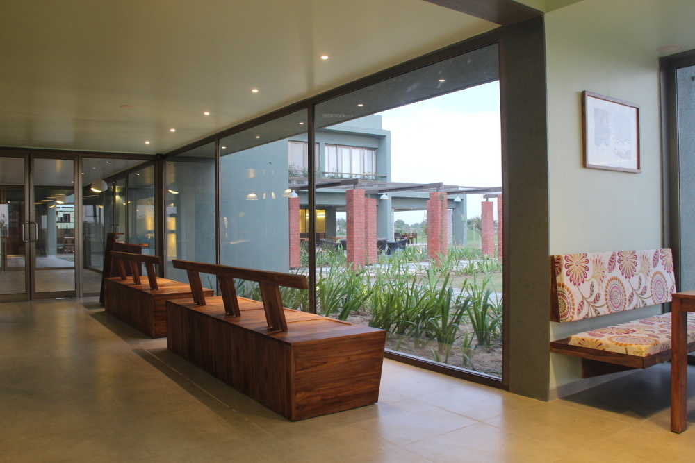  serenity proximus Others