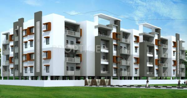 Carp properties Sumukha Pride