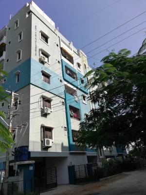 Images for Project Images for Project