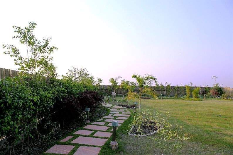 Images for Amenities of Ecnon Sports Land