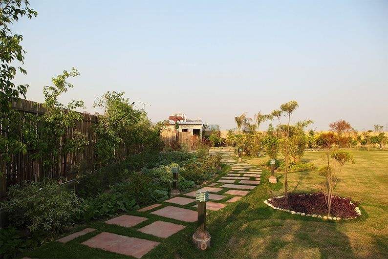 Images for Amenities of Ecnon Sports Land