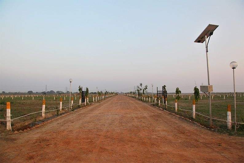 Images for Amenities of Ecnon Sports Land