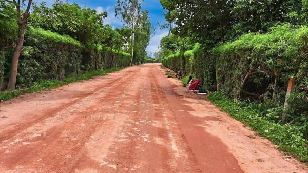 Plot sports-land Plot