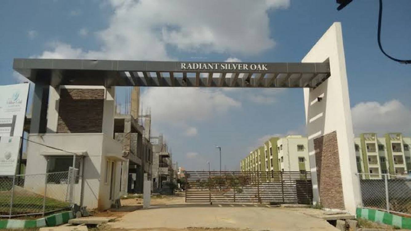 silver oak Elevation