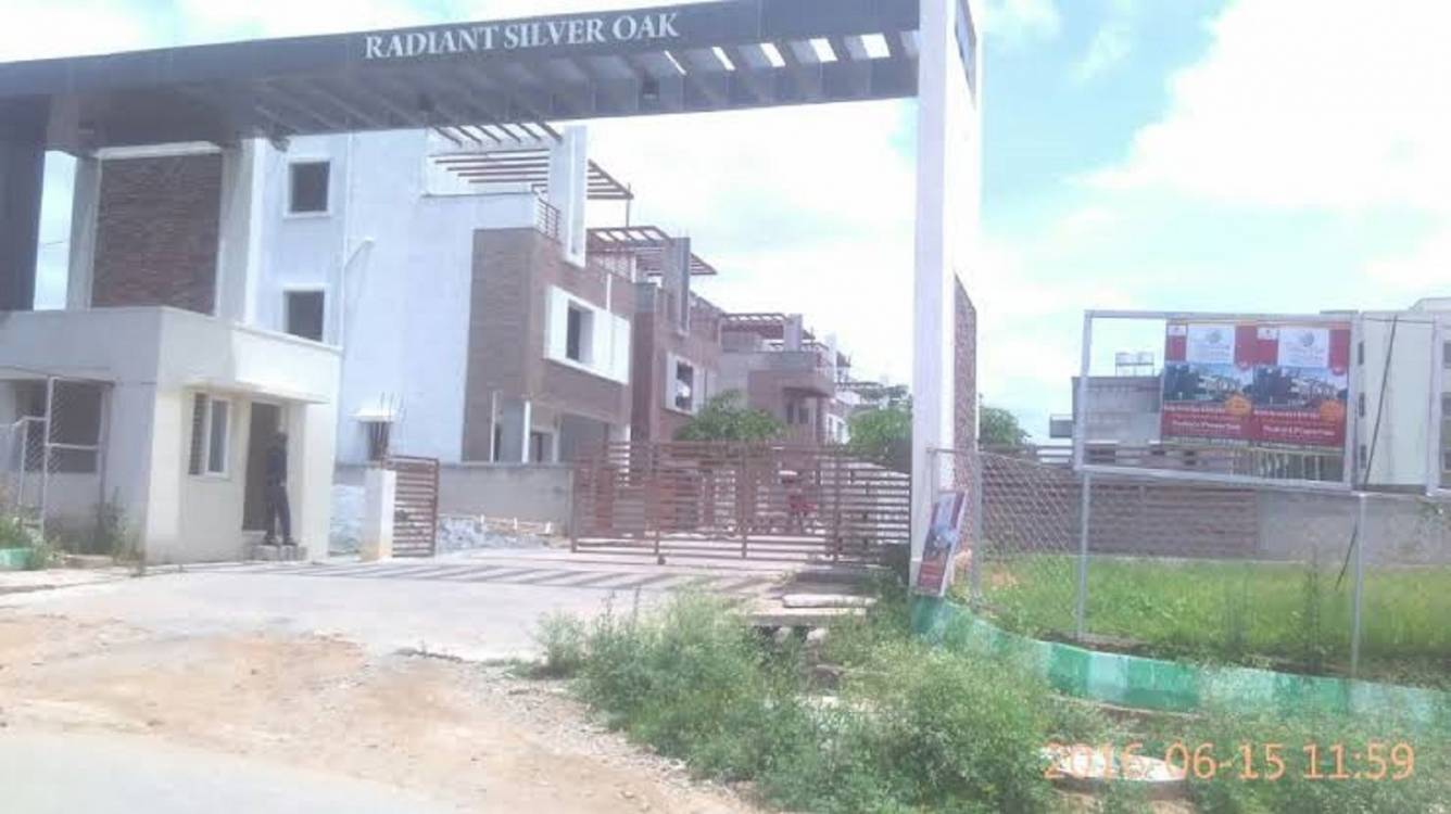 silver oak Elevation