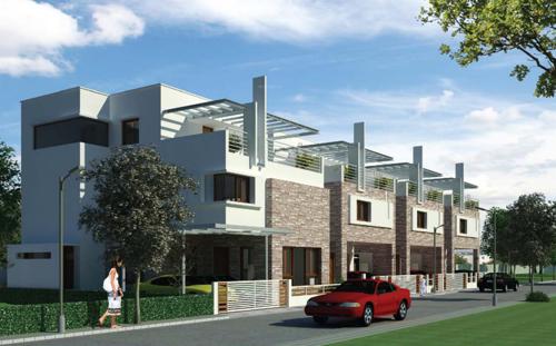 Images for Elevation of Radiant Silver Oak silver-oak Images for Elevation of Radiant Silver Oak