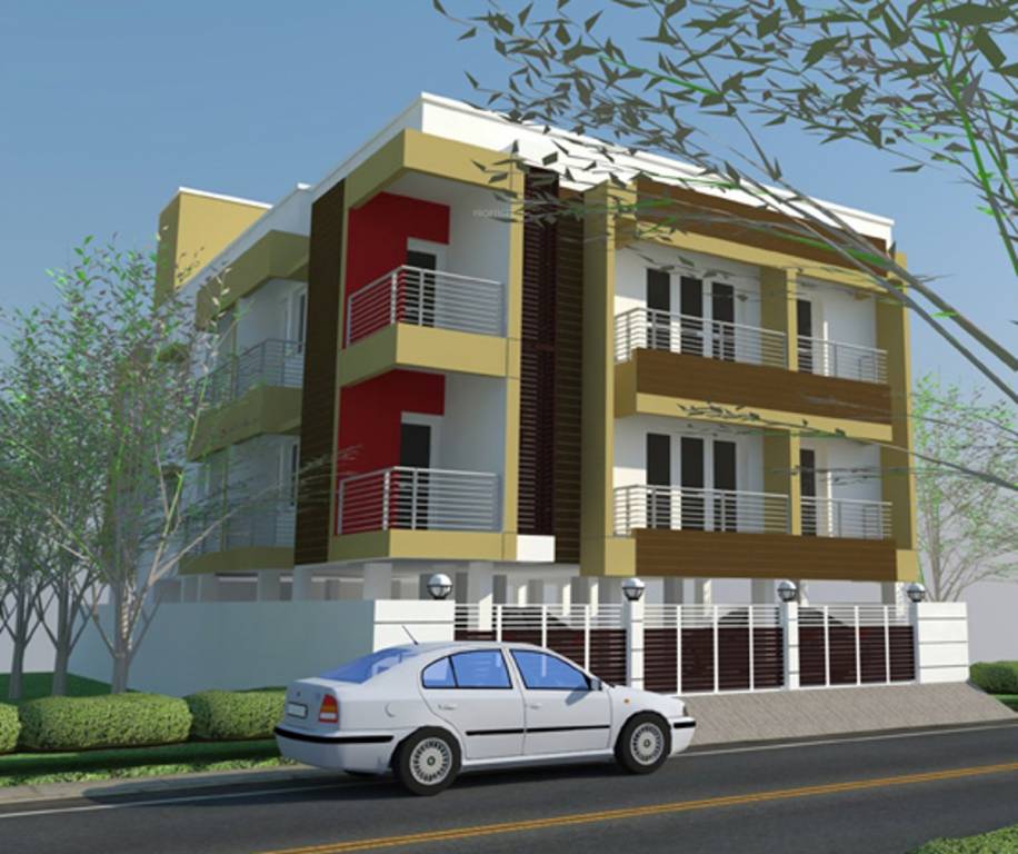 Images for Elevation of SVM Orchid