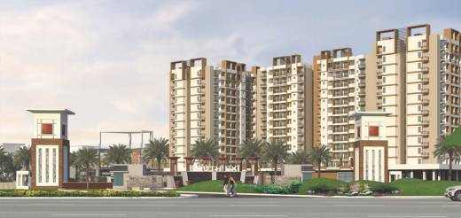 Images for Elevation of Sun Swaraj